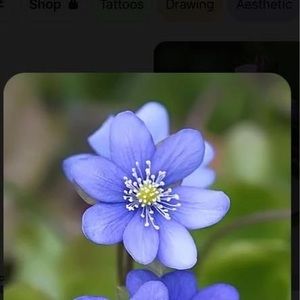 Meet your Posher, Eli